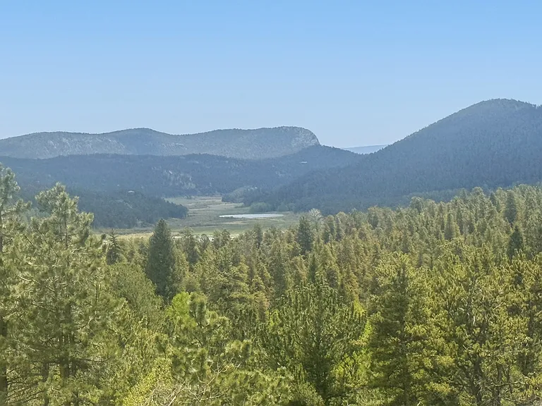 258 County Road 61 — Photo 10