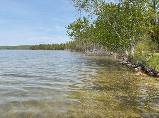 2028 Walleye Ln, Bellaire, MI 49615