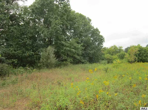 Sears Rd, Horton, MI 49246