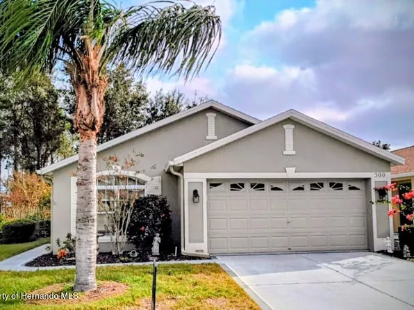 300 Hartford Ct, Spring Hill, FL 34609