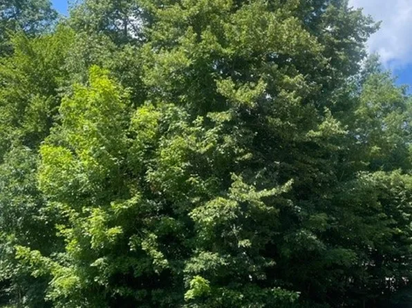 V/l 258 Stony Brook Ln, Wakeman, OH 44889