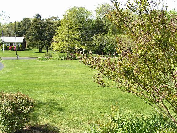 mature landscaping