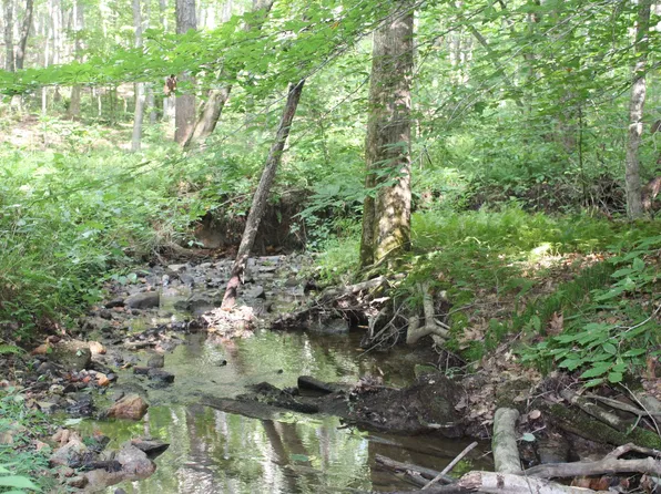 385 Piney Mountain Ln, Shipman, VA 22971