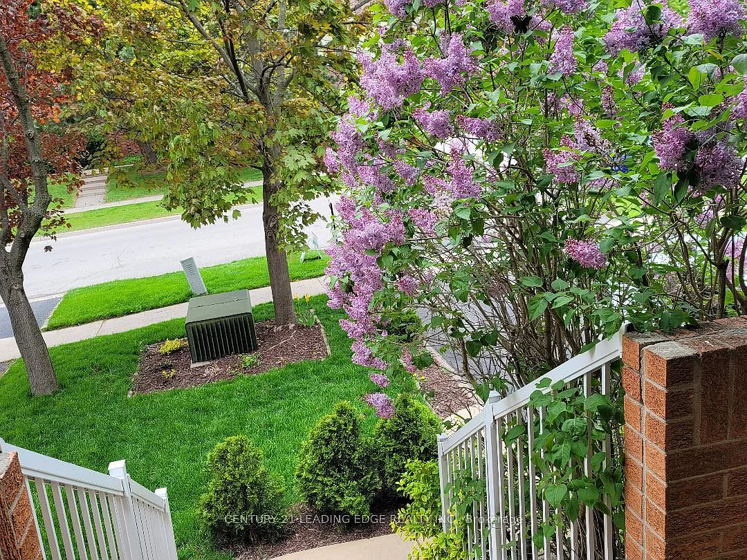 3 bed, $3,390 — Photo 3
