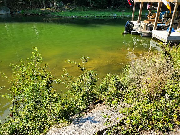 4th image of Sheltered Cove Private Dr