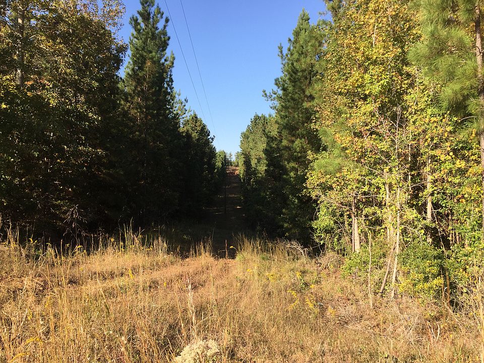 2nd image of 330 Co Rd 234