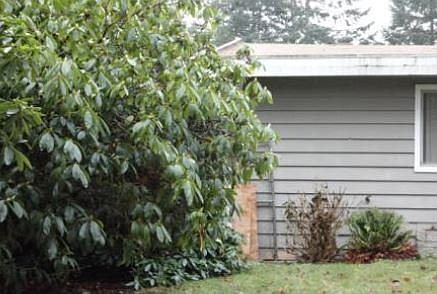 2nd image of 20309 144th Pl SE