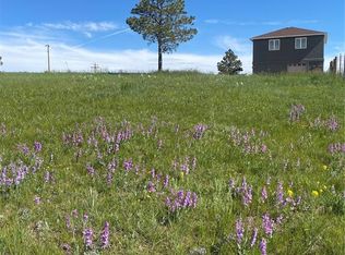 13435 Hodgen Rd, Elbert, CO 80106