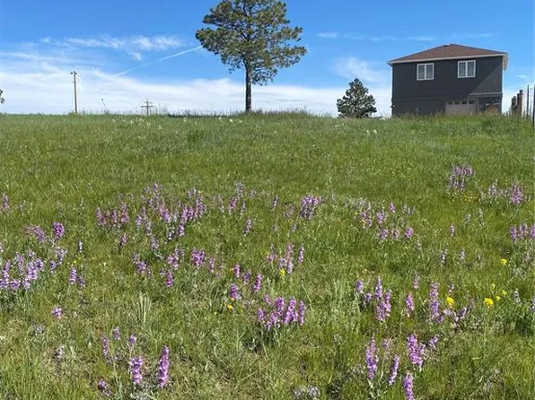 13435 Hodgen Rd, Elbert, CO 80106