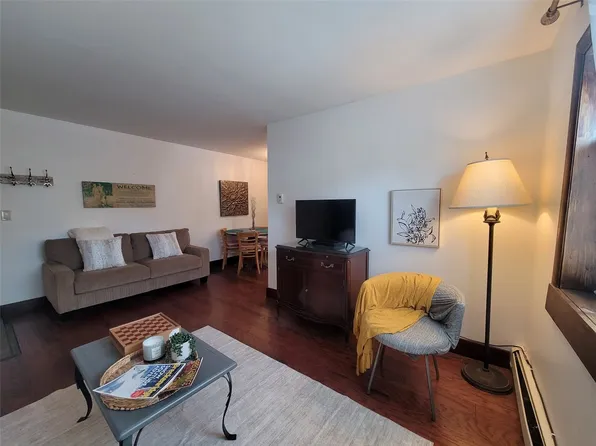 214 S Harris Street UNIT 101, Breckenridge, CO 80424