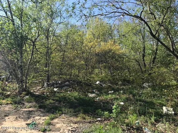 Rear Birney Ave, Moosic, PA 18507