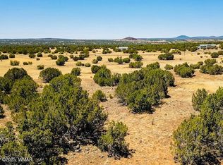 8692 Supancheck Rd, Show Low, AZ 85901