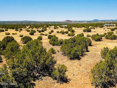 8692 Supancheck Rd, Show Low, AZ, 85901