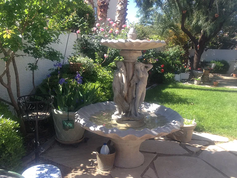 Mature landscaping, fountain, real grass, fountain, lemon & apricot trees