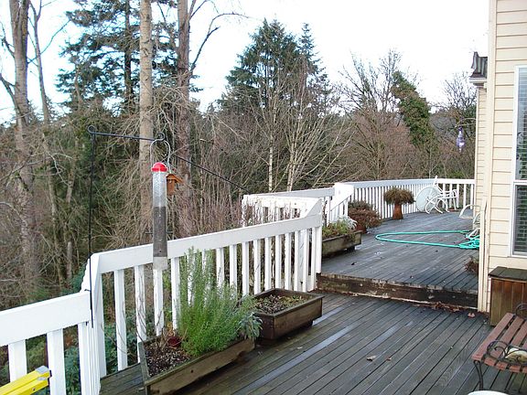 Back Deck