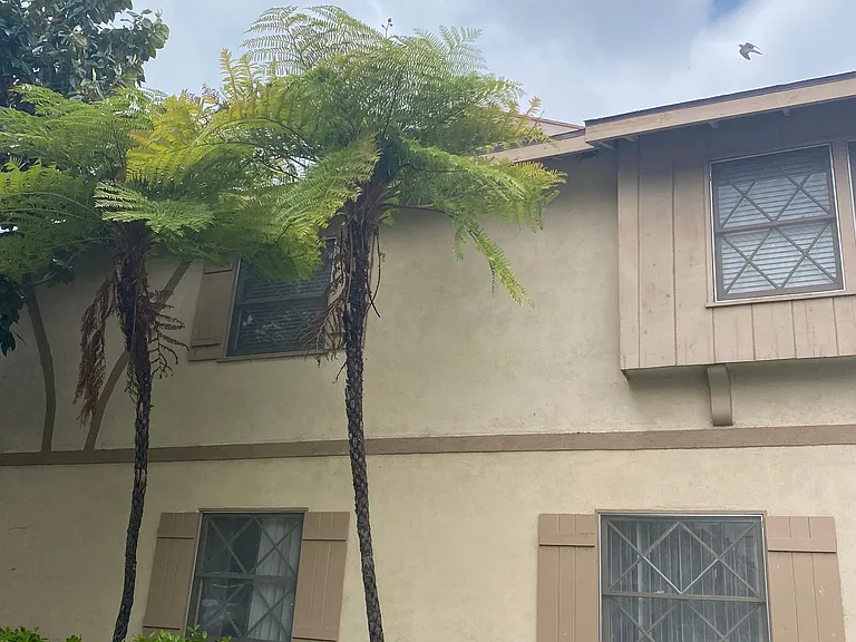1147 San Rafael Ave — Photo 9