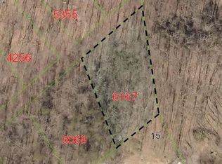 80 Little Woods Ln #13 D, Old Fort, NC 28762