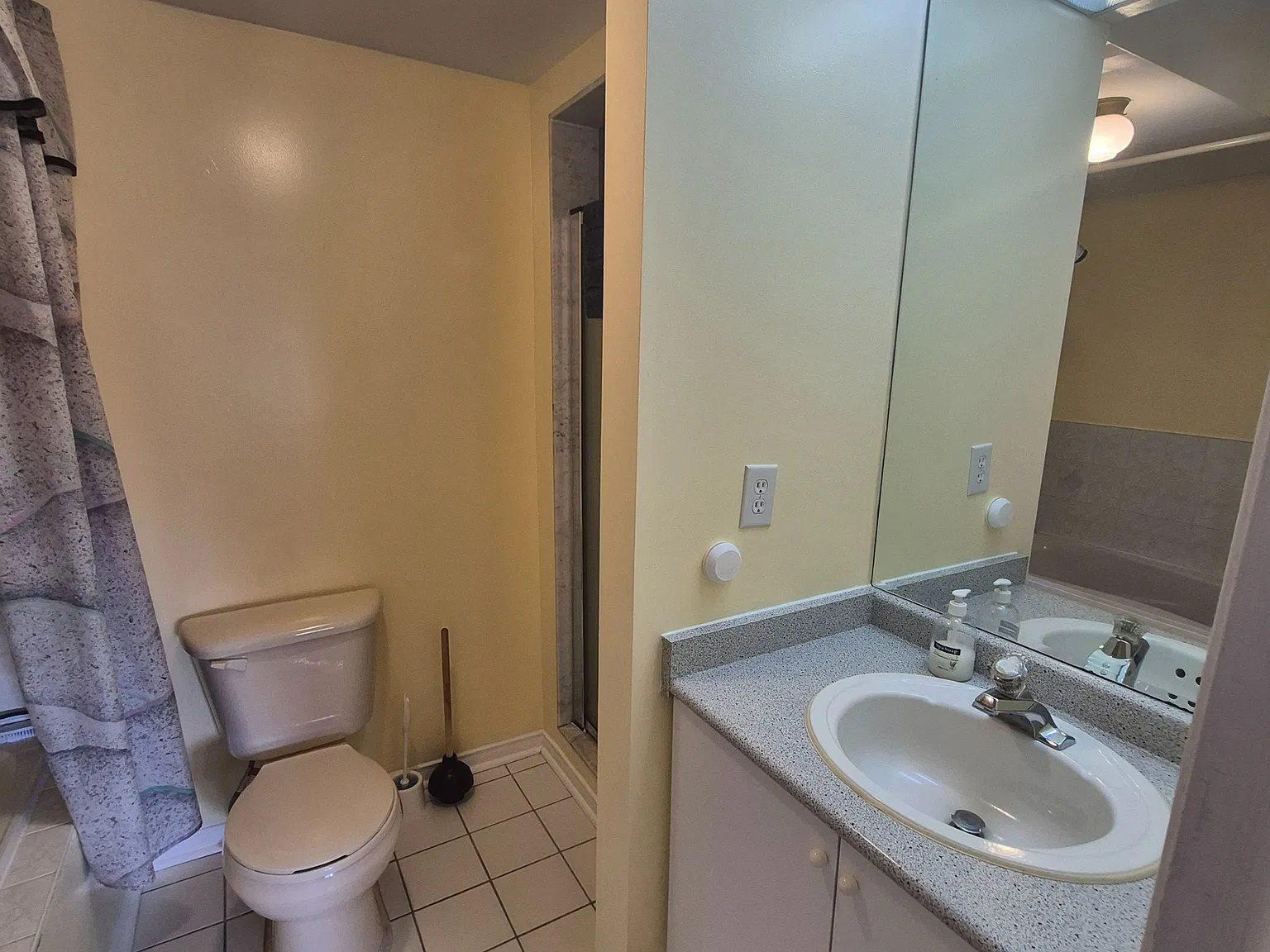1 bed, $900 — Photo 3
