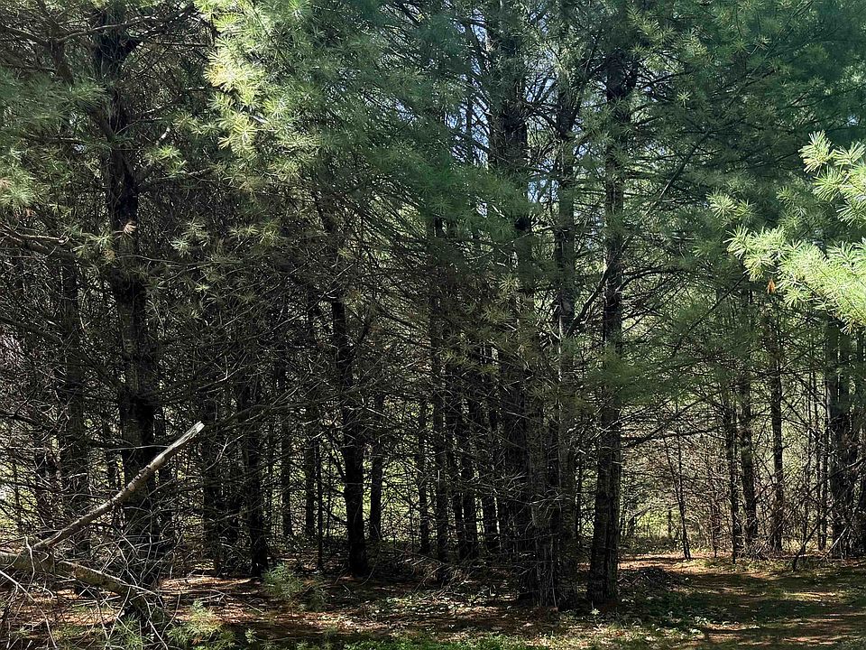 1st image of 129 Pickard Road lot 2