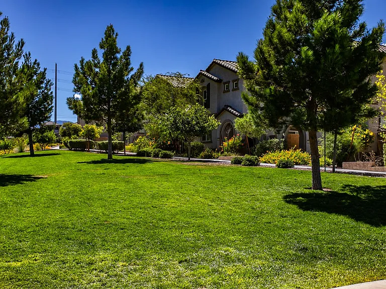 10589 Sariah Skye Ave — Photo 45