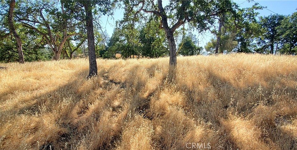 1st image of 15687 Stagecoach Rd Lot 637