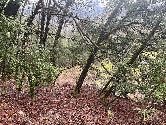 4th image of 0 Pumice St