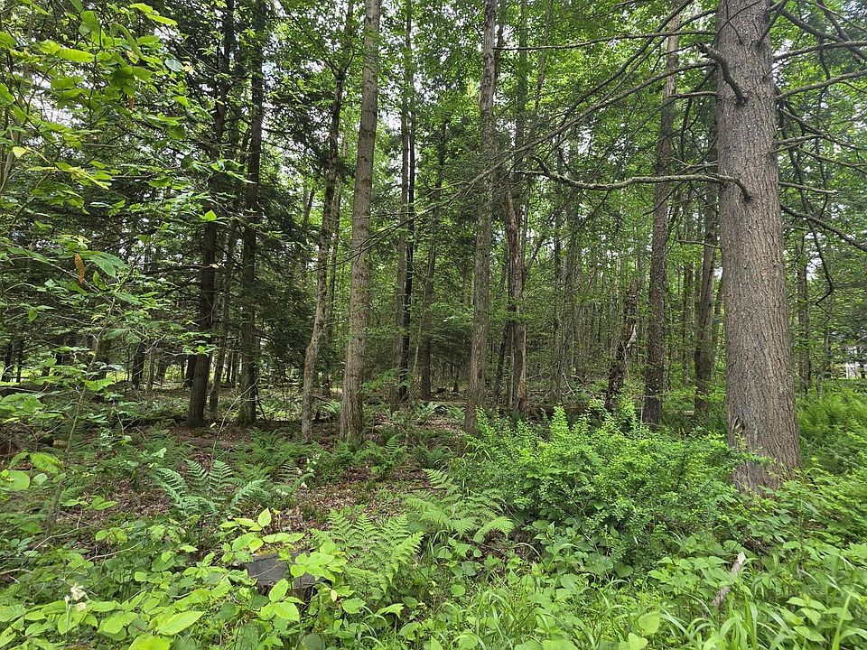 2nd image of PARCEL 80 Wooded Ln Lot 23