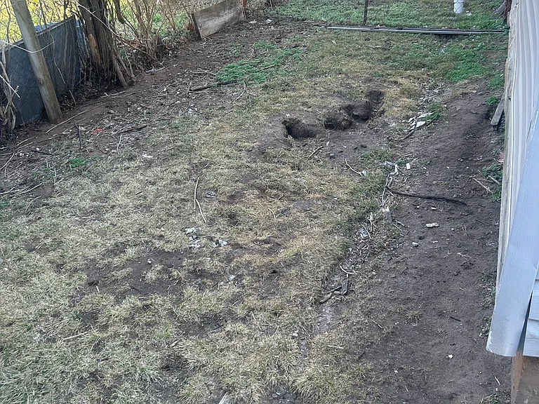 fenced up side yard for pet