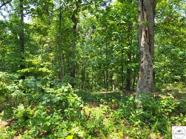 Lee Dr, Edwards, MO 65326