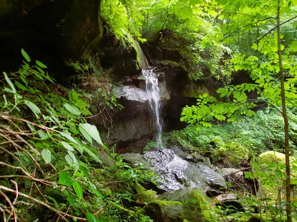 10030 Tucker Rd, New Straitsville, OH 43766