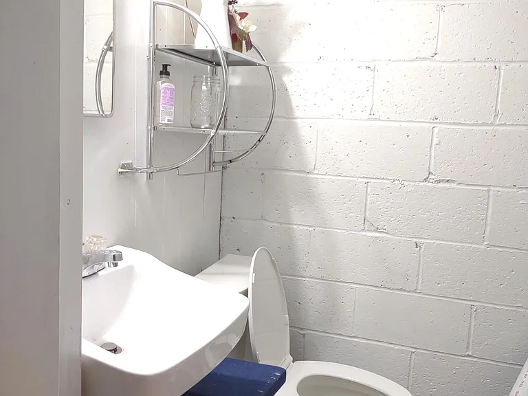 basement bathroom