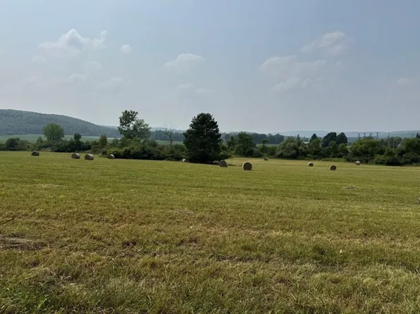 0 Beaver Dams Moreland Rd, Montour Falls, NY 14865