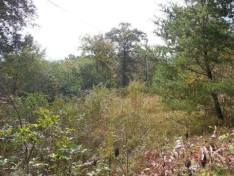 4th image of 1055 County Road 92