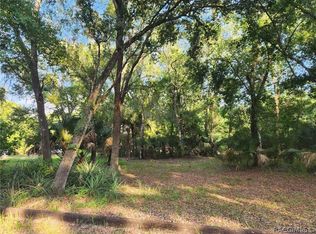 12248 E Walton Dr, Floral City, FL 34436