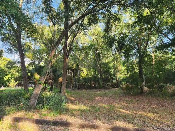 12248 E Walton Dr, Floral City, FL 34436