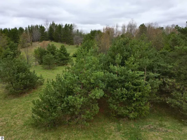 0 W County Line Rd #C, Thompsonville, MI 49683