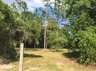Lake Helen Osteen Rd, Lake Helen, FL 32744