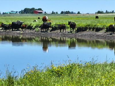 0 Punkin Center Rd, Bieber, CA, 96009