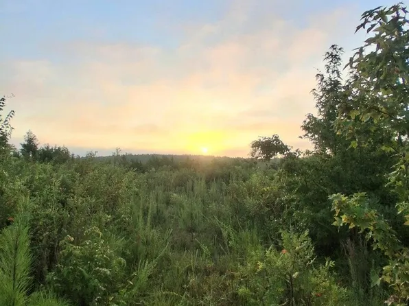 3A Bowie Rd, Troy, SC 29848