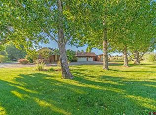 59310 Lupine Ct, Montrose, CO 81403
