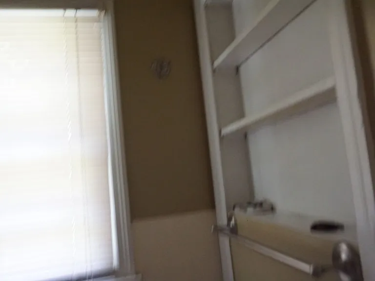 406 E College St — Photo 8