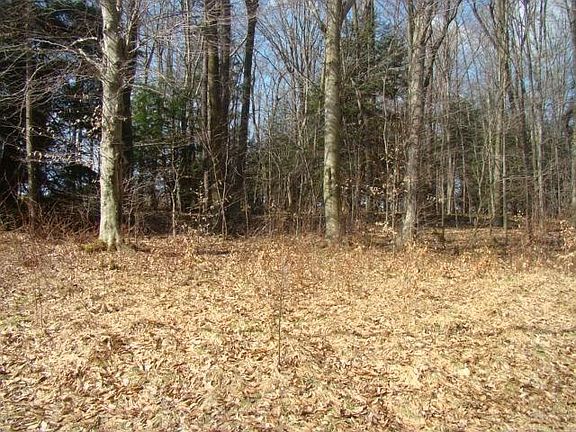 2nd image of 3 & 22 Lake Shore Rd
