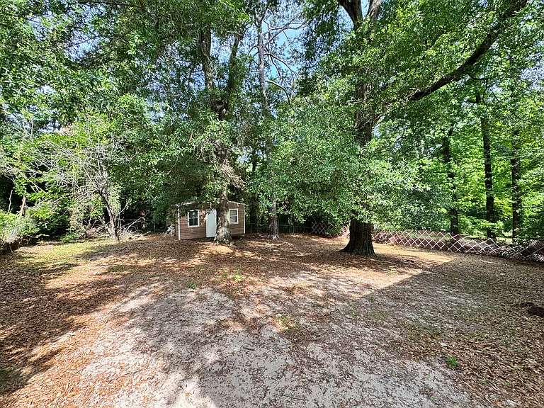 Large Backyard
