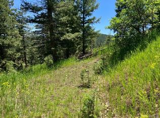 0 Adahi Rd, Indian Hills, CO 80454