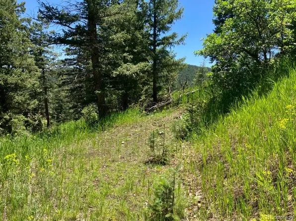 0 Adahi Road, Indian Hills, CO 80439