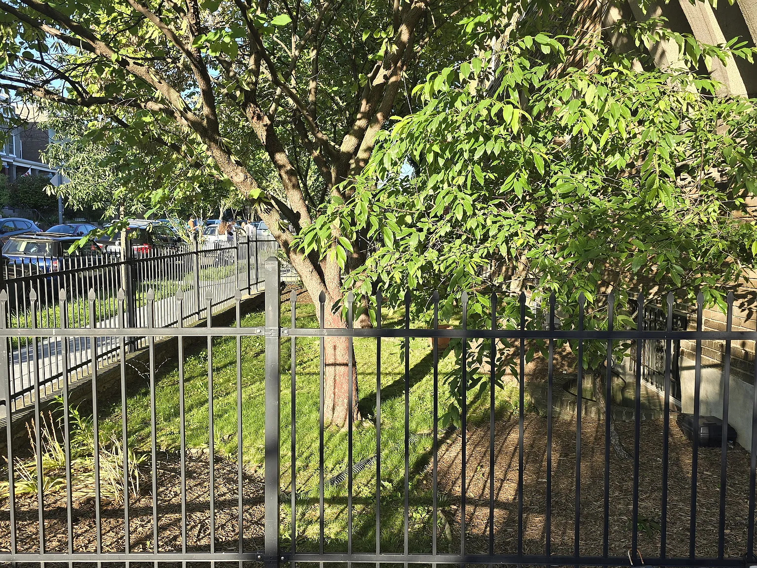 1 bed, 486 sqft, $1,800 — Photo 3