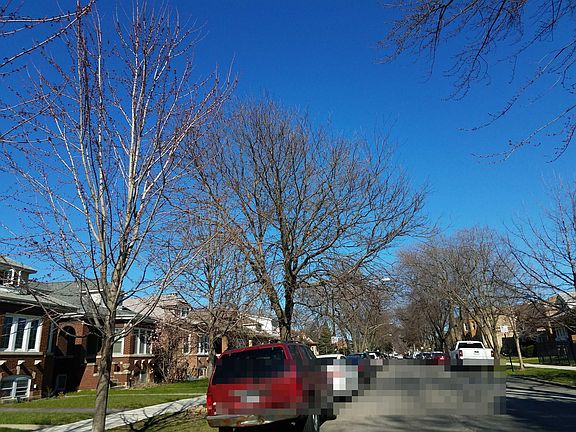 4th image of 5026 W Newport Ave
