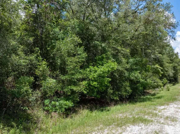 LOT 53 SW Roanoke Ter, Fort White, FL 32038