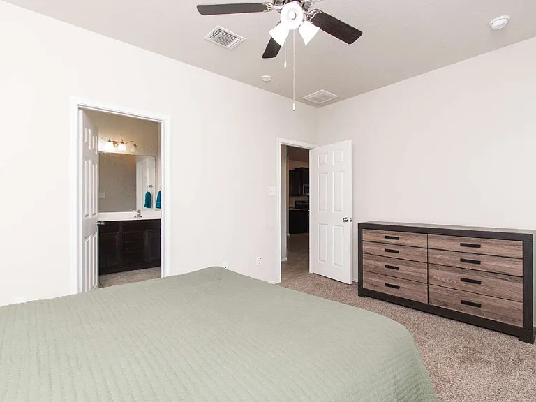 2515 Pintail Loop — Photo 11
