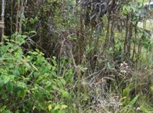 Palm Tree Dr, Mountain View, HI 96771